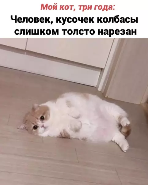 продолжение Смешная картинка №572859