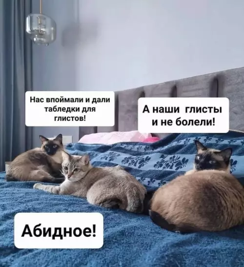 Смешная картинка №763159