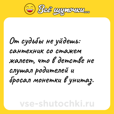 Шутка: От судьбы не уйдешь: сантехник со стажем жалеет, что в детстве не слушал родителей и бросал монетки в унитаз.