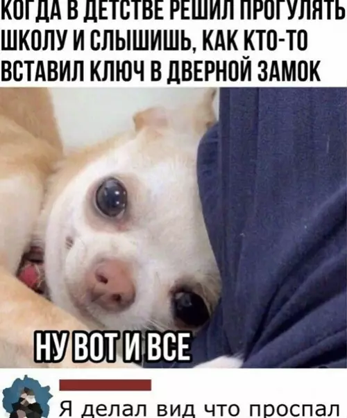 Смешная картинка №544172