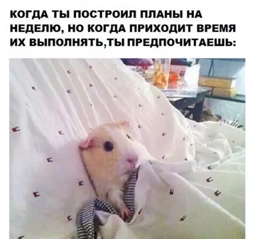 Смешная картинка №246421