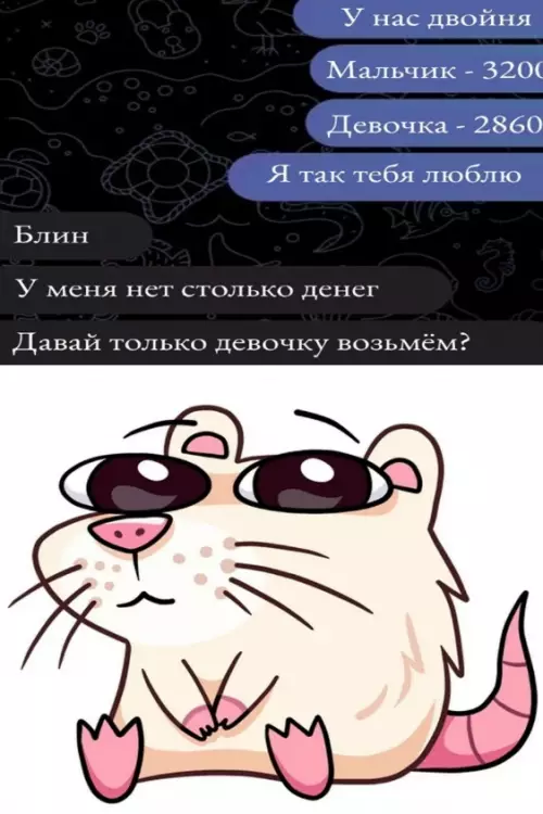 Выбираем по прайсу 💸🐹 - У нас двойня Мальчик - 3200 Девочка - 2860 Я