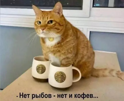 Смешная картинка №777978