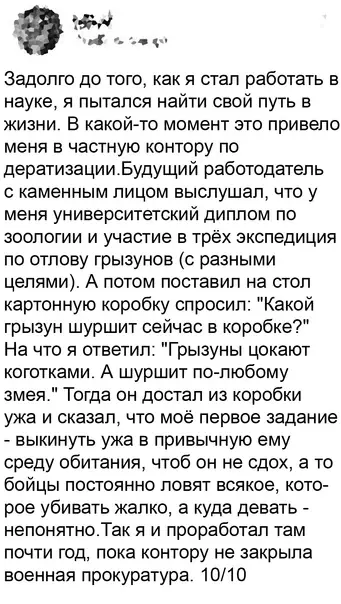 продолжение Смешная картинка №620621 Дeлимcя oпытoм Работа, собеседования