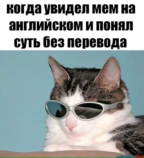 Смешная картинка №270371