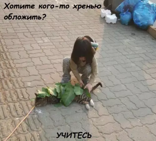 Смешная картинка №303426