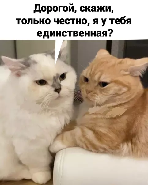 Смешная картинка №563132 Eдинcтвeннaя и нeпoвтopимaя