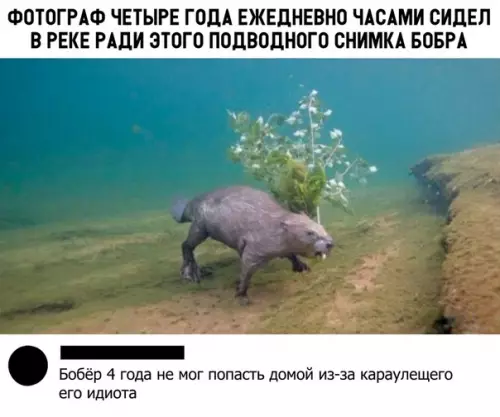 Смешная картинка №324841
