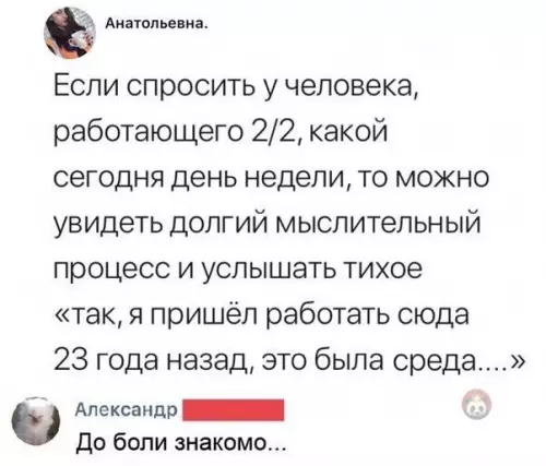 Смешная картинка №502143 Так, сегодня на работу не надо - значит выходной! ?