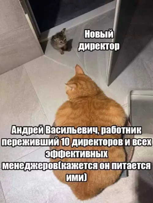 Смешная картинка №730521 Офис