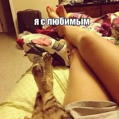 Смешная картинка №184462
