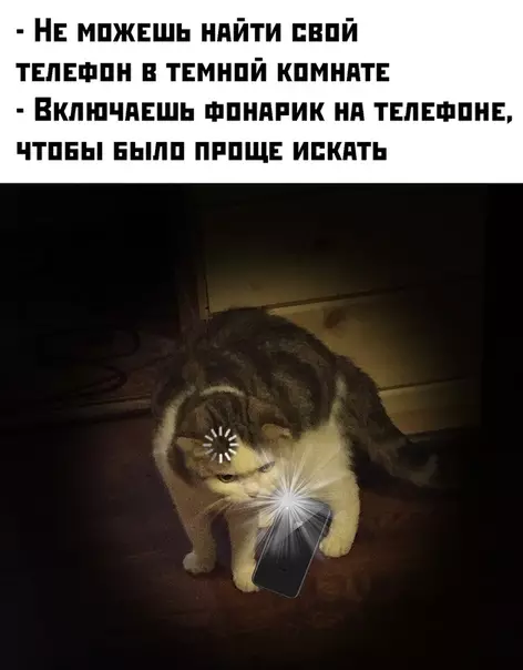 Смешная картинка №460651