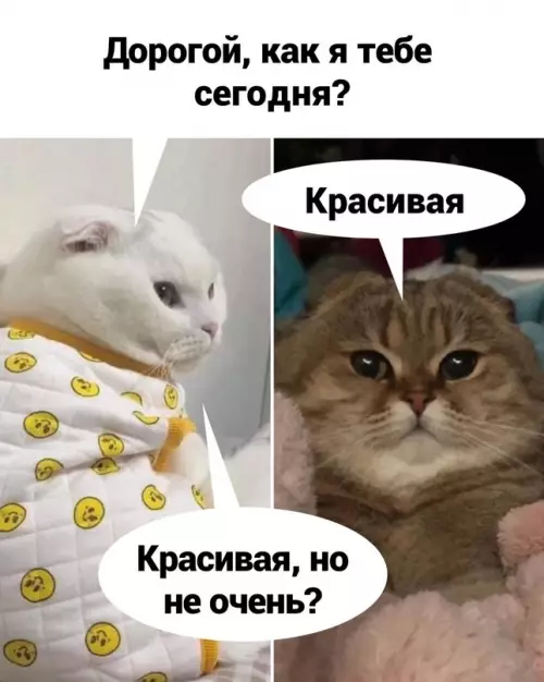Смешная картинка №716660 Woman mоment