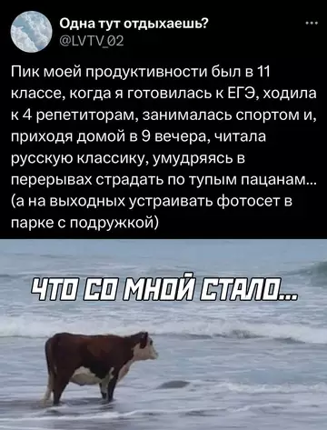 Смешная картинка №754276