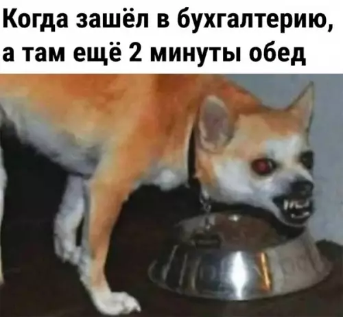 Смешная картинка №646916
