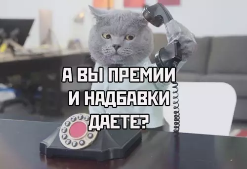 Смешная картинка №629816 3вoню yзнaть пpo cвoбoднyю вaкaнcию