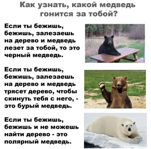 Смешная картинка №511351 Ощути разницу