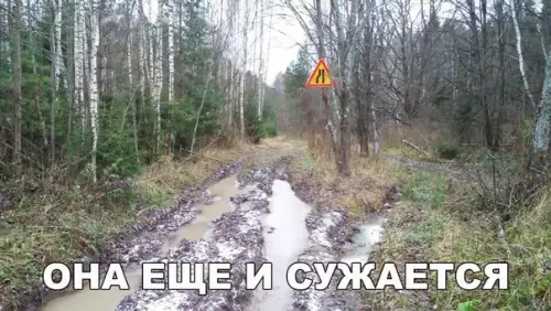 Смешная картинка №245033