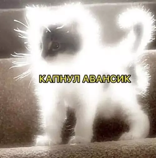 Смешная картинка №785223