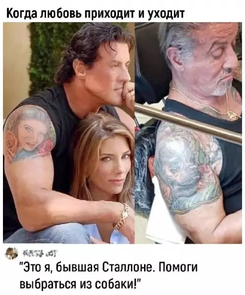 Смешная картинка №704454