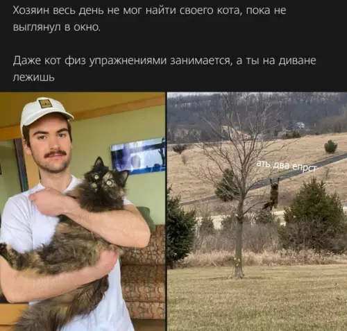 Смешная картинка №482337