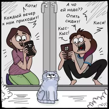 продолжение Смешная картинка №771663 коты