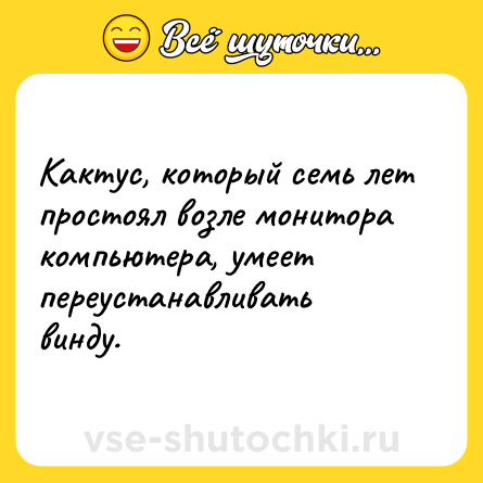 Шутка: Кактус, который семь лет простоял возле монитора компьютера, умеет переустанавливать винду.