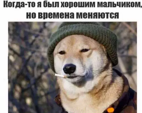 Смешная картинка №195567 хороший мальчик