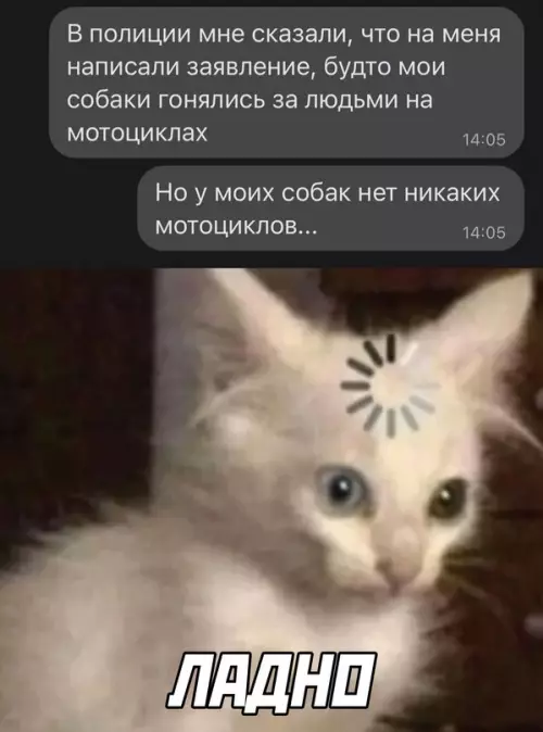 Смешная картинка №645759