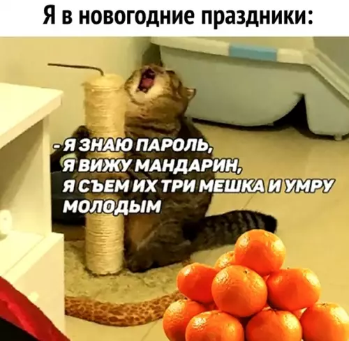 Смешная картинка №318840 Кому интересны мои планы: