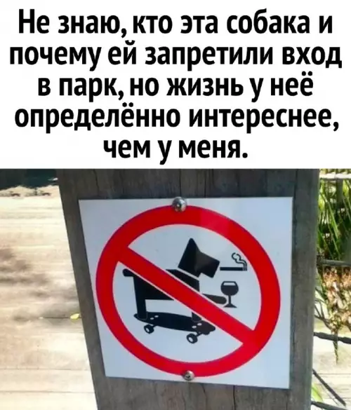 Смешная картинка №691510 Собаки 