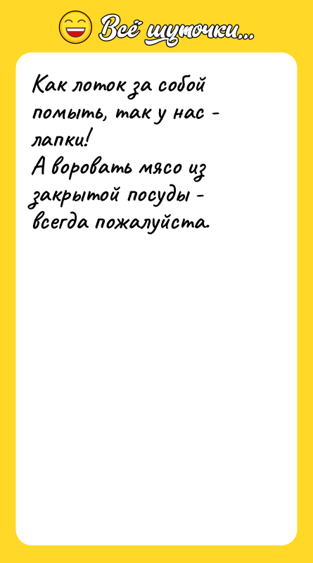 Как лоток за собой помыть, так у нас - лапки!
