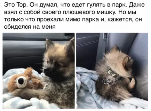 Смешная картинка №462735 :3