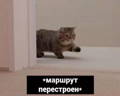 продолжение Смешная картинка №745329