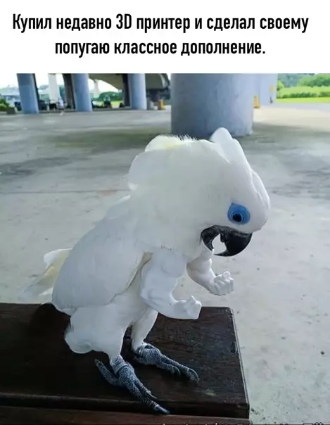 Смешная картинка №579685
