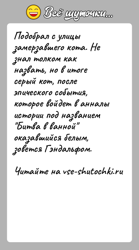 История: Подобрал с улицы замерзавшего кота. Не знал толком как назвать, но в итоге серый кот, после эпического события, которое войдет