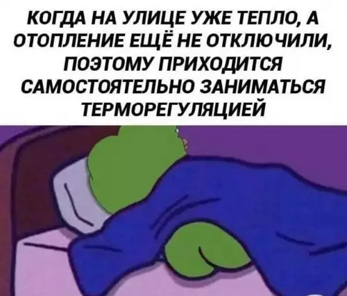 Смешная картинка №809657