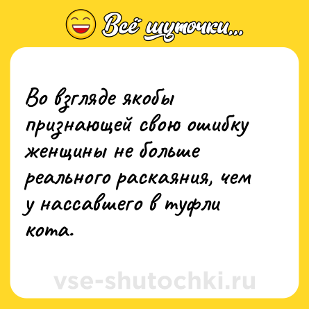 Шутка: Во взгляде якобы признающей свою ошибку женщины не больше реального раскаяния, чем у нассавшего в туфли кота.