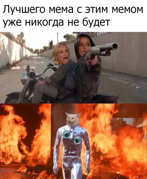 Смешная картинка №393306