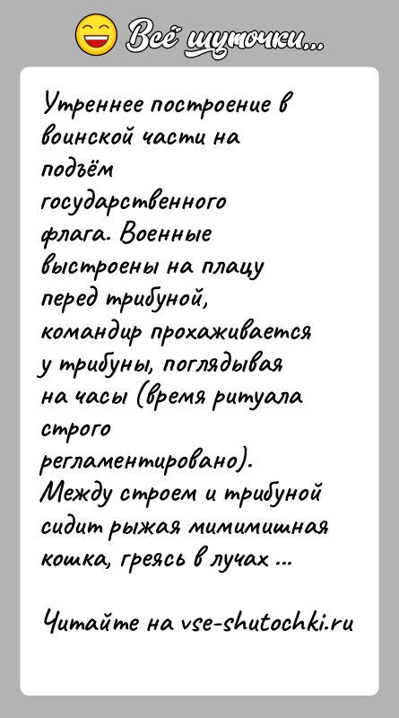 История: Утреннее построение в воинской части на подъём государственного флага. Военные выстроены на плацу перед трибуной, командир прохаживается у трибуны, поглядывая
