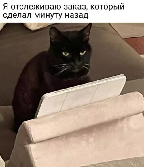 Смешная картинка №756098