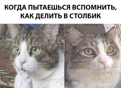 Смешная картинка №306408