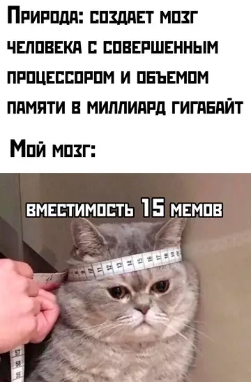 Смешная картинка №748625