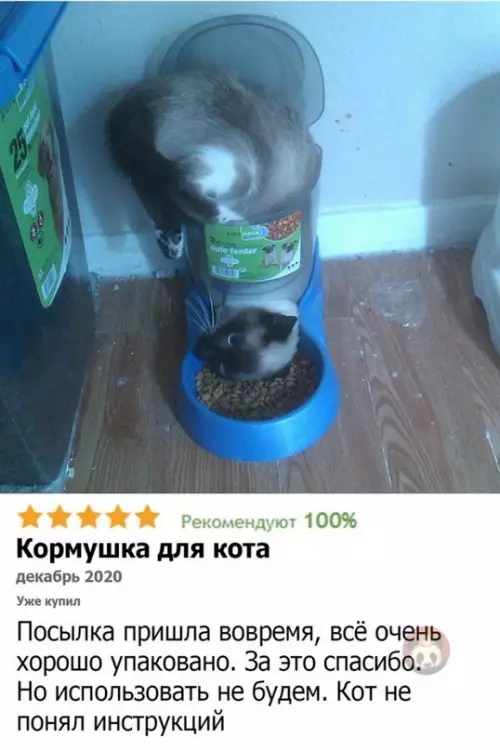 Смешная картинка №614657 Даже не знаю что круче - сам отзыв или кот! ?