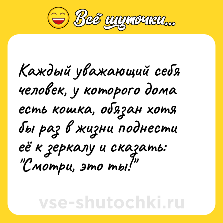 Шутка: Каждый уважающий себя человек, у которого дома есть кошка, обязан хотя бы раз в жизни поднести её к зеркалу и сказать: 