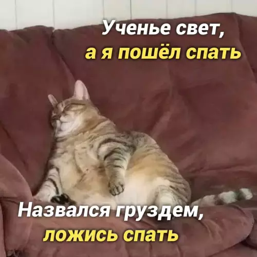 Смешная картинка №657200 Myдpocть дня: