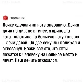 продолжение Смешная картинка №705448