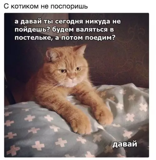 Смешная картинка №393165