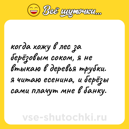 Шутка: когда хожу в лес за берёзовым соком, я не втыкаю в деревья трубки. я читаю есенина, и берёзы сами плачут мне в банку.