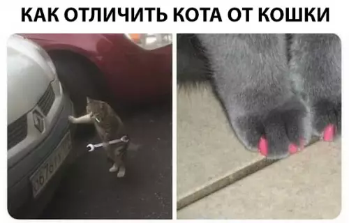 Смешная картинка №308166